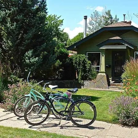 Bluebird Day - Kingfisher Bungalow